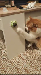 Bola de Catnip Adhesiva Giratoria para Gatos - Juguete Interactivo de Lamido y Juego