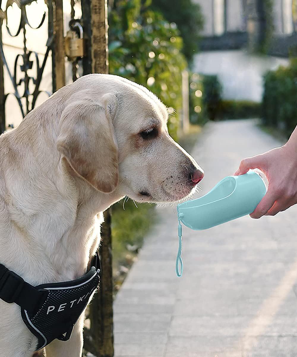 Bebedero Portátil con Filtro para Mascotas 380ml - Botella de Agua con Cuenco Integrado