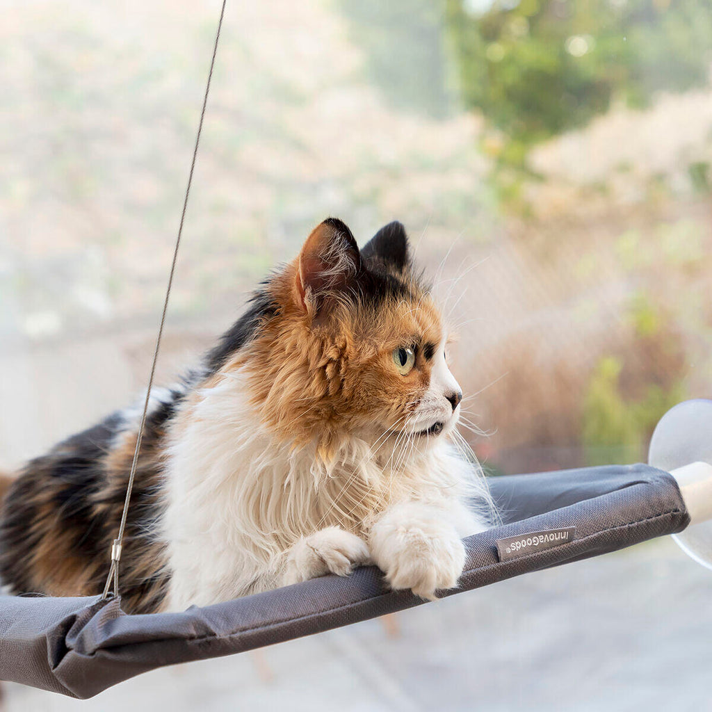 Hamaca Colgante para Gatos Catlax con Ventosas - Cama Elevada para Ventanas