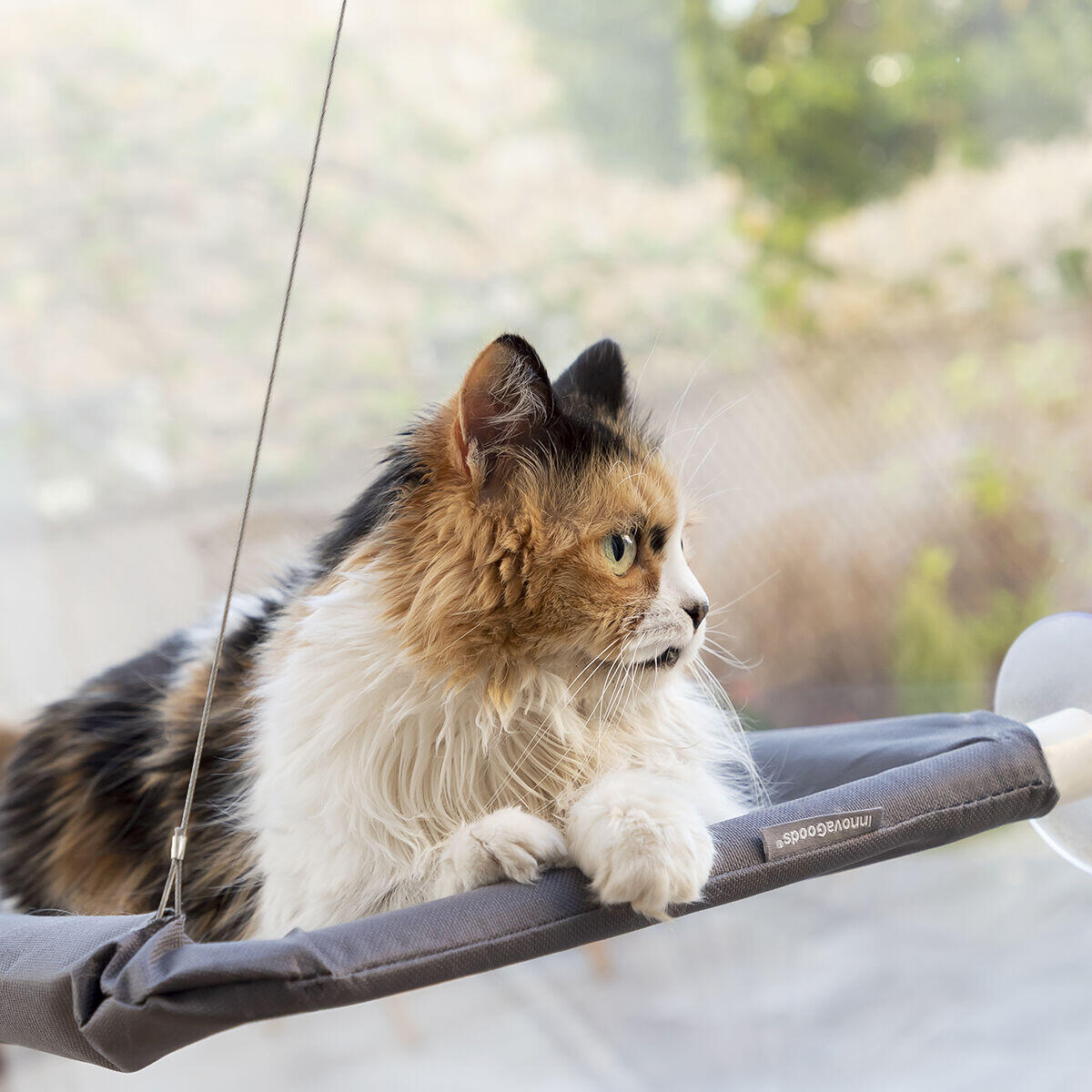 Hamaca Colgante para Gatos Catlax con Ventosas - Cama Elevada para Ventanas