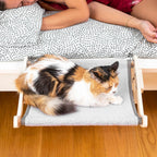 Hamaca Colgante para Gatos Hamacat - Cama Elevada y Ajustable