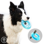 Juguete Mordedor Congelable para Perros 2 en 1 Glubiz - Mordedor Dental y Refrescante