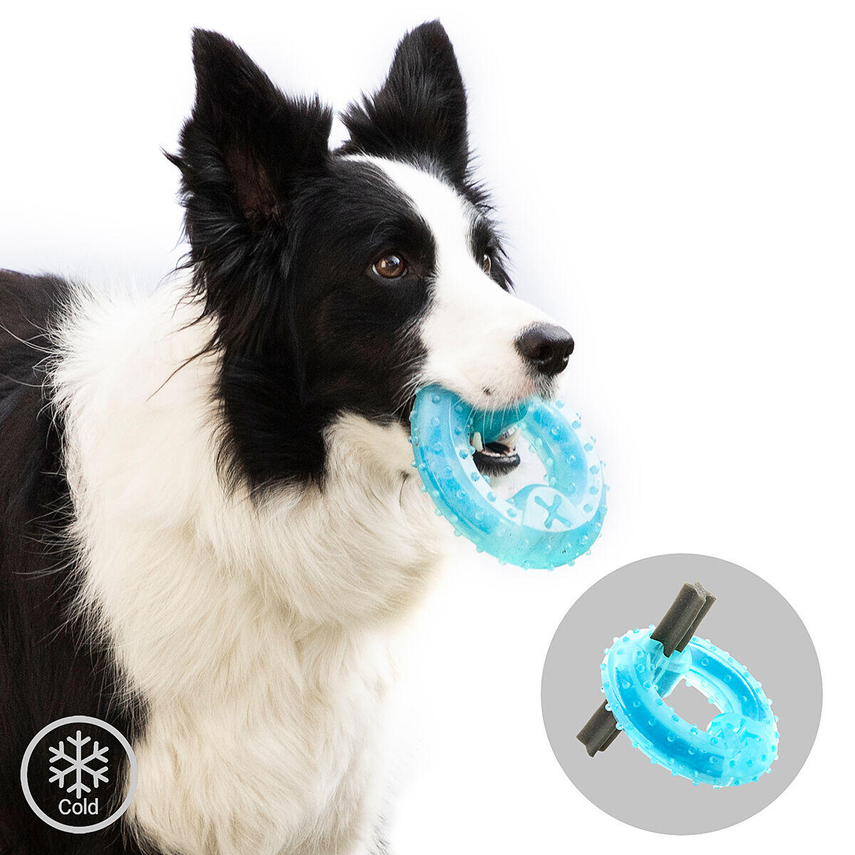 Juguete Mordedor Congelable para Perros 2 en 1 Glubiz - Mordedor Dental y Refrescante