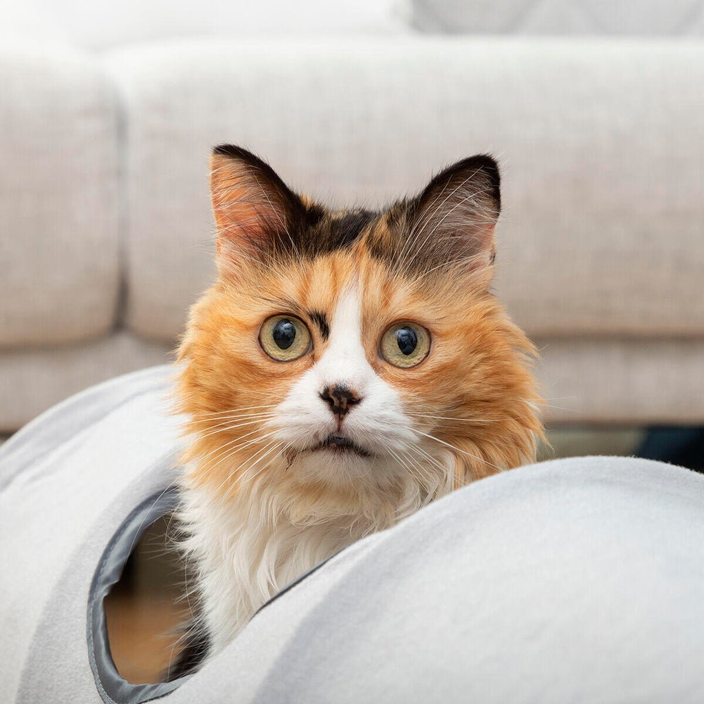 Túnel Plegable para Gatos Funnyl - Juguete Interactivo 2 Posiciones