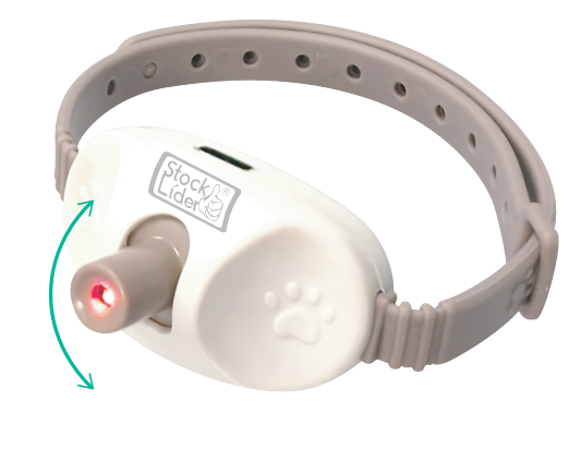 Collar de Juego Láser para Gatos - Puntero Automático Recargable