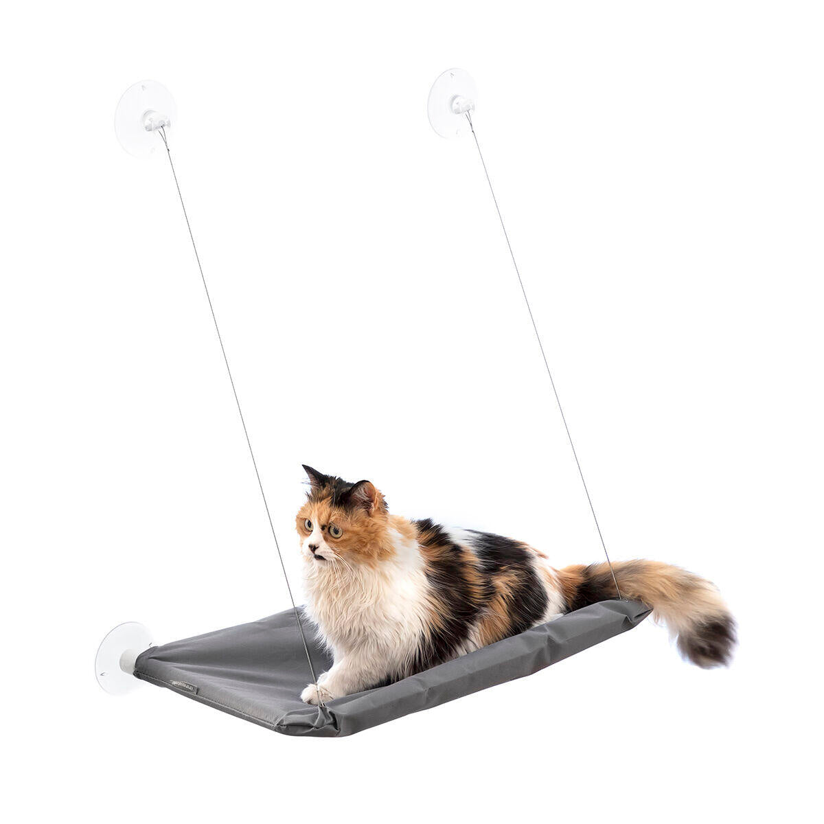 Hamaca Colgante para Gatos Catlax con Ventosas - Cama Elevada para Ventanas