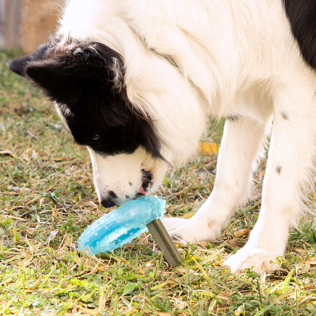 Juguete Mordedor Congelable para Perros 2 en 1 Glubiz - Mordedor Dental y Refrescante