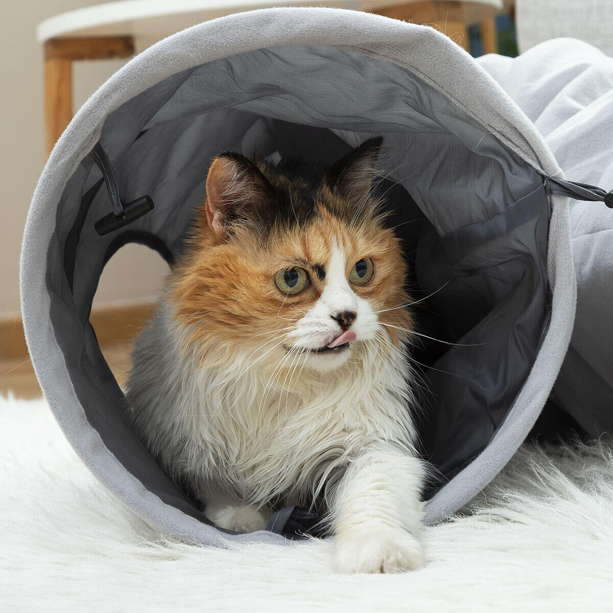 Túnel Plegable para Gatos Funnyl - Juguete Interactivo 2 Posiciones