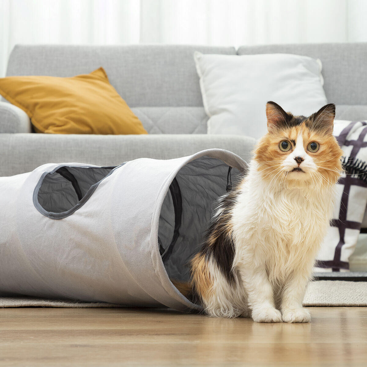 Túnel Plegable para Gatos Funnyl - Juguete Interactivo 2 Posiciones