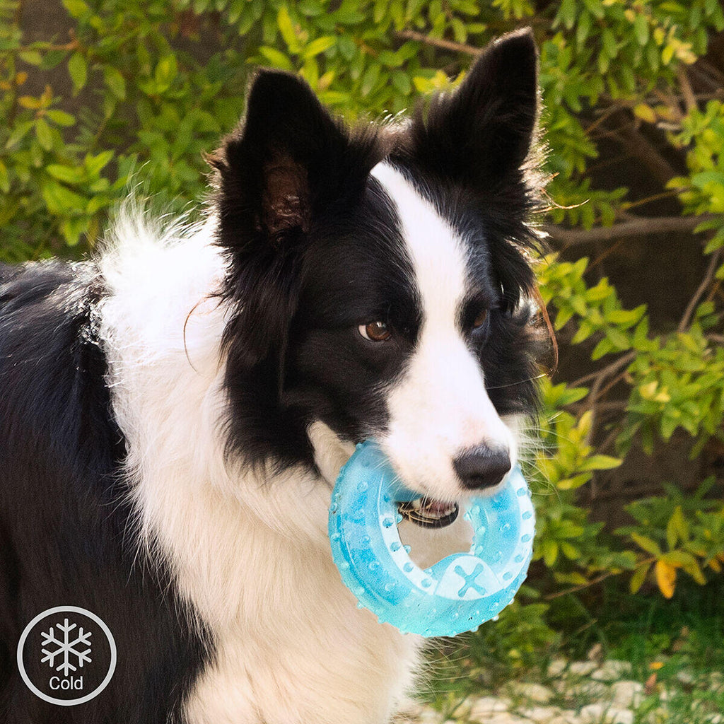 Juguete Mordedor Congelable para Perros 2 en 1 Glubiz - Mordedor Dental y Refrescante