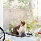 Hamaca Colgante para Gatos Catlax con Ventosas - Cama Elevada para Ventanas